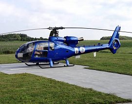 Gazelle